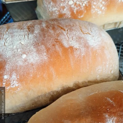 Pan Blanco Terminado Rustico