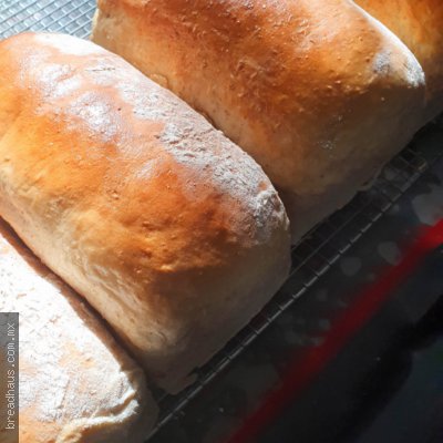 Pan de la Casa