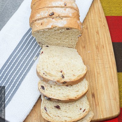 Pan con Arándano