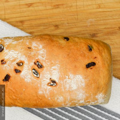 Pan con Arándano