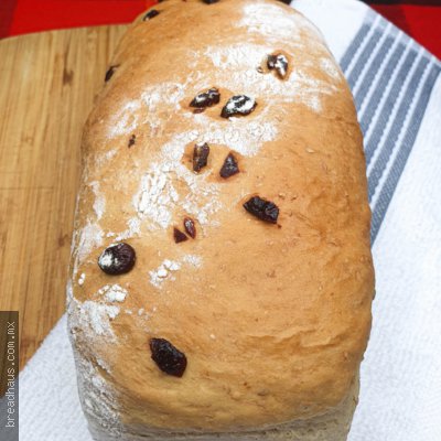 Pan con Arándano