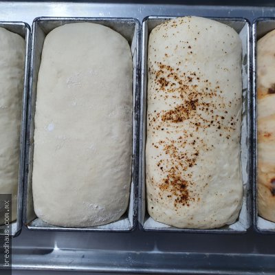 Listos para el horno