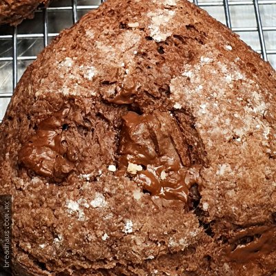 BS007 Scones Doble Chocolate