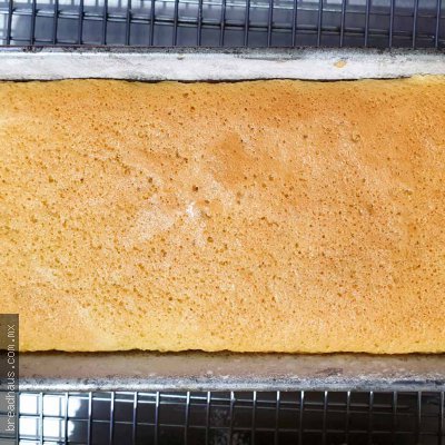 PB022 Bizcochuelo de Naranja