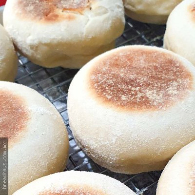 BP013 Muffins Ingleses