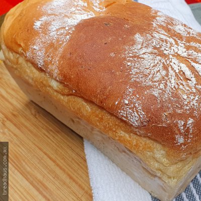 BP019 Pan de Papa